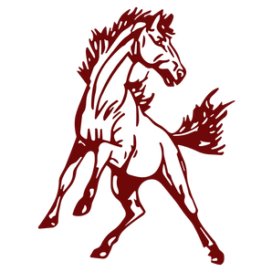 Marathon-Mustangs - Görsel 1