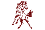 Marathon-Mustangs - Görsel 1