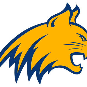 Medina-Bobcats - Görsel 1