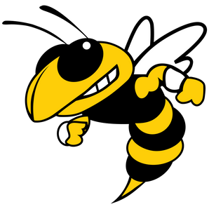 Menard-Yellowjackets - Görsel 1