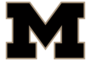 Meridian-Yellowjackets - Görsel 2