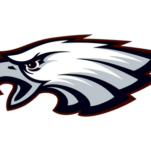 Mission-Eagles - Görsel 1