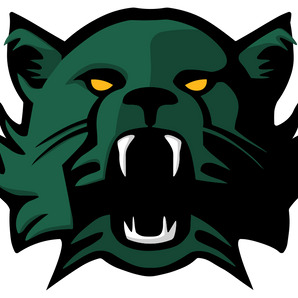 Moody-Bearcats - Görsel 1