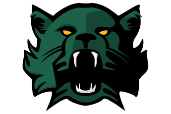 Moody-Bearcats - Görsel 1