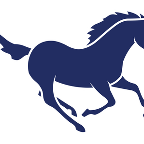 Mumford-Mustangs - Görsel 1