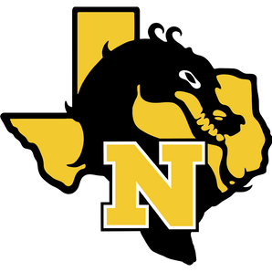 Nacogdoches-Dragons - Görsel 1
