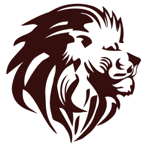 New-Boston-Lions - Görsel 1