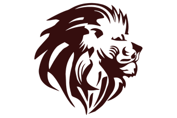 New-Boston-Lions - Görsel 1