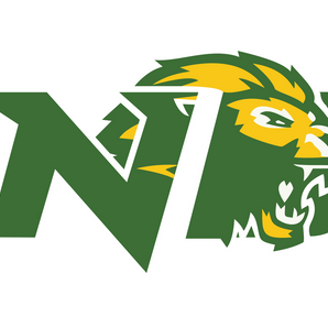 New-Deal-Lions - Görsel 1