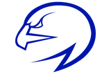 North-Forney-Falcons - Görsel 1