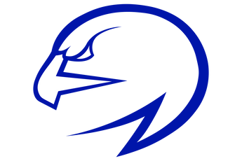 North-Forney-Falcons - Görsel 1