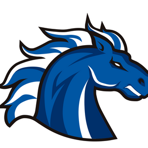 North-Mesquite-Stallions - Görsel 1