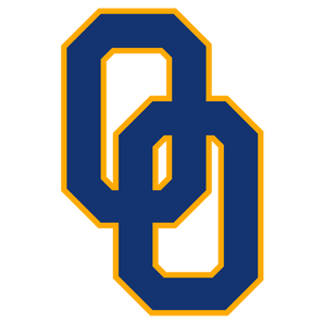 Odem-Owls - Görsel 1