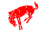 Odessa-Bronchos - Görsel 1