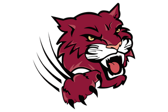 Onalaska-Wildcats - Görsel 1