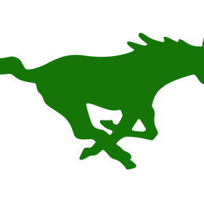 Overton-Mustangs - Görsel 1