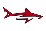 Palacios-Sharks - Görsel 1