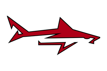 Palacios-Sharks - Görsel 1