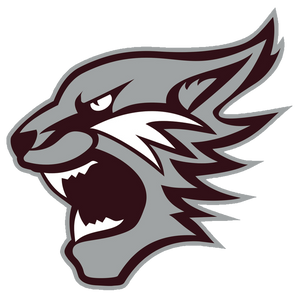 Palestine-Wildcats - Görsel 1