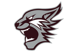 Palestine-Wildcats - Görsel 1