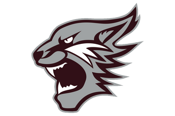 Palestine-Wildcats - Görsel 1
