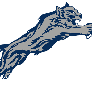 Paris-Wildcats - Görsel 1