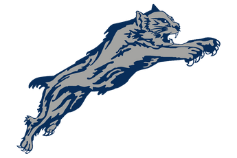 Paris-Wildcats - Görsel 1