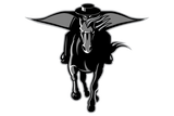Pharr-San-Juan-Alamo-North-Raiders - Görsel 1