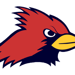Plano-John-Paul-II-Cardinals - Görsel 1