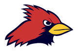 Plano-John-Paul-II-Cardinals - Görsel 1