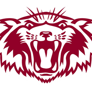 Plano-Wildcats - Görsel 1