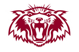 Plano-Wildcats - Görsel 1