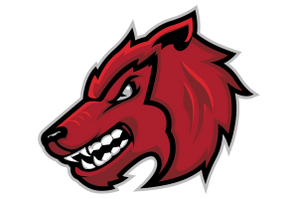 Pflugerville-Weiss-Wolves - Görsel 1