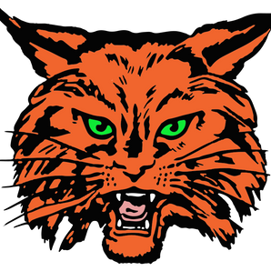 Refugio-Bobcats - Görsel 1