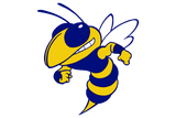 Rochelle-Hornets - Görsel 1