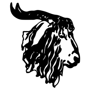 Rocksprings-Angoras - Görsel 1