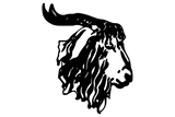 Rocksprings-Angoras - Görsel 1