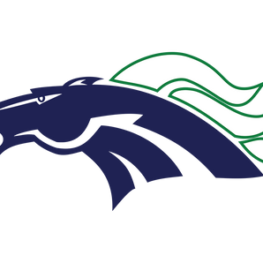 Round-Rock-McNeil-Mavericks - Görsel 1