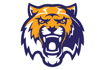 Round-Rock-Stony-Point-Tigers - Görsel 3
