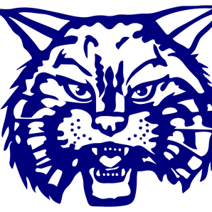 Rule-Bobcats - Görsel 1