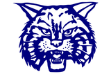 Rule-Bobcats - Görsel 1