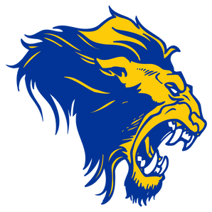 Saltillo-Lions - Görsel 1