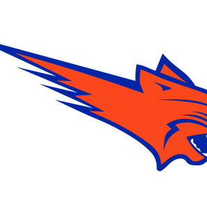 San-Angelo-Central-Bobcats - Görsel 1
