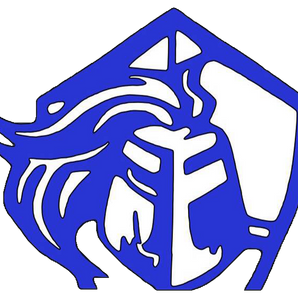 San-Angelo-Trinity-Lutheran-Crusaders - Görsel 1