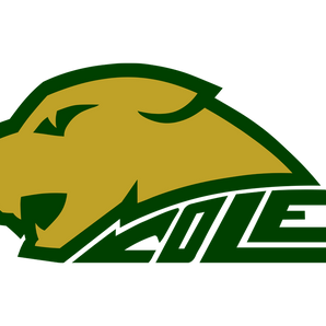 San-Antonio-Cole-Cougars - Görsel 1