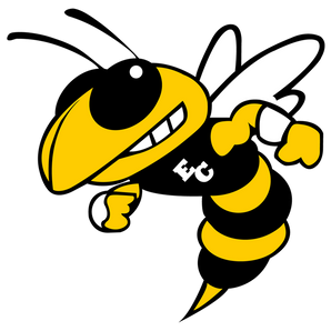 San-Antonio-East-Central-Hornets - Görsel 1