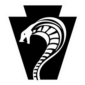 San-Antonio-Keystone-Cobras - Görsel 1
