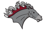 San-Antonio-Lutheran-Mustangs - Görsel 2