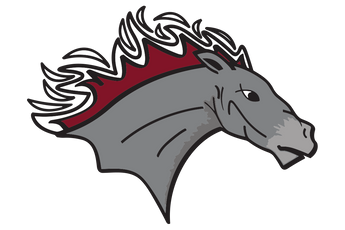 San-Antonio-Lutheran-Mustangs - Görsel 2