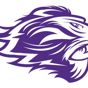 San-Antonio-Young-Mens-Leadership-Academy-Lions - Görsel 1